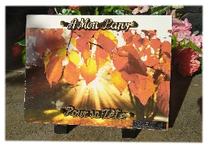 Plaque funéraire lave émaillée feuilles d'automne